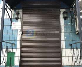 Рольставни на дверь